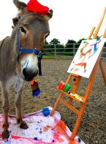 喂驴打一嘴巴子吃瓜娱乐,一场意外的网络狂欢